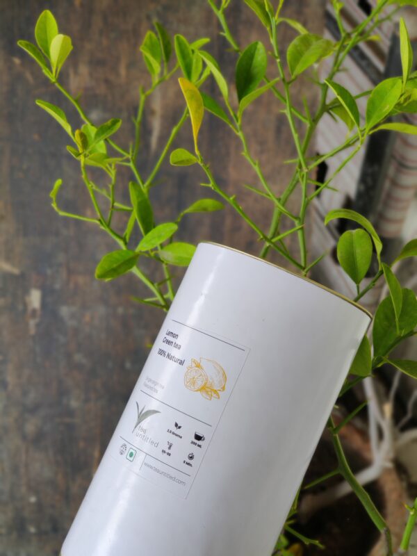 box of Lemon green tea with lemon plant in its background